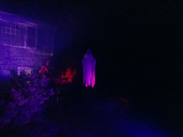 Hovering Ghost night